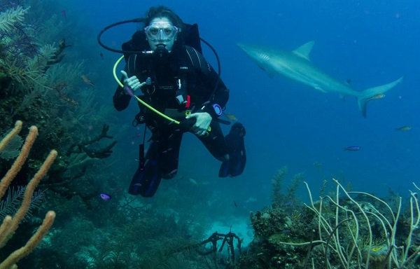 SCUBA Network diving trip