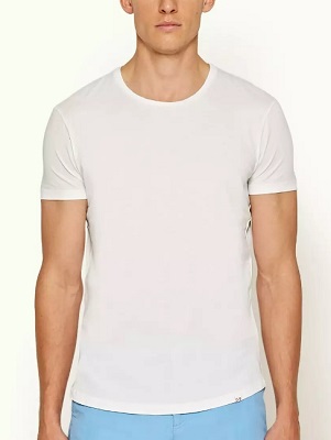 The Classic White T Shirt